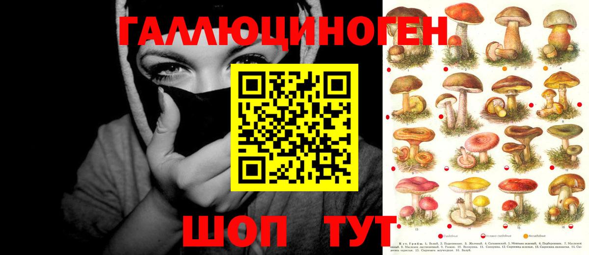 Галлюциногенные грибы мицелий  Псилоцибиновые грибы ЛСД  Михайловск  Вход с VPN 